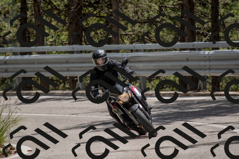 202506011336-DSC_5885_c4_