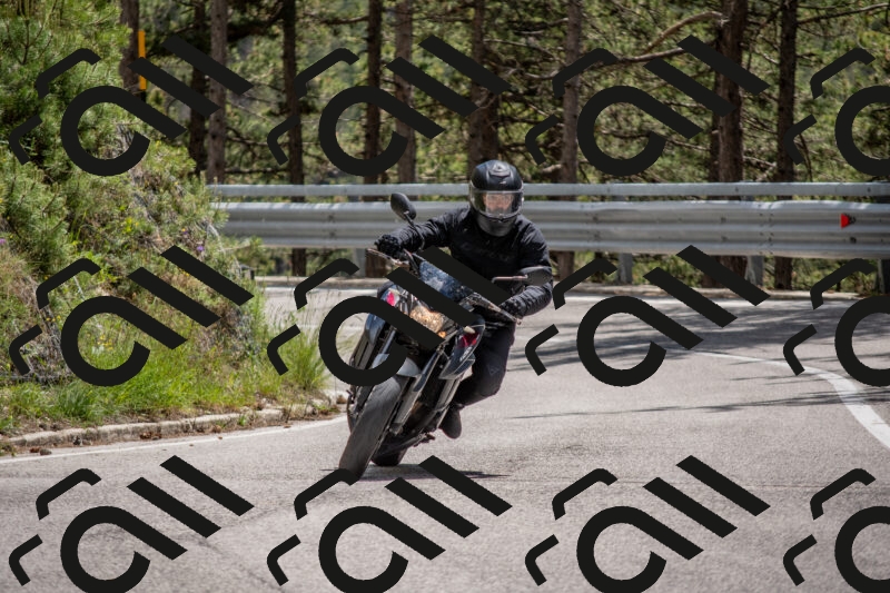 202506011336-DSC_5886_c4_