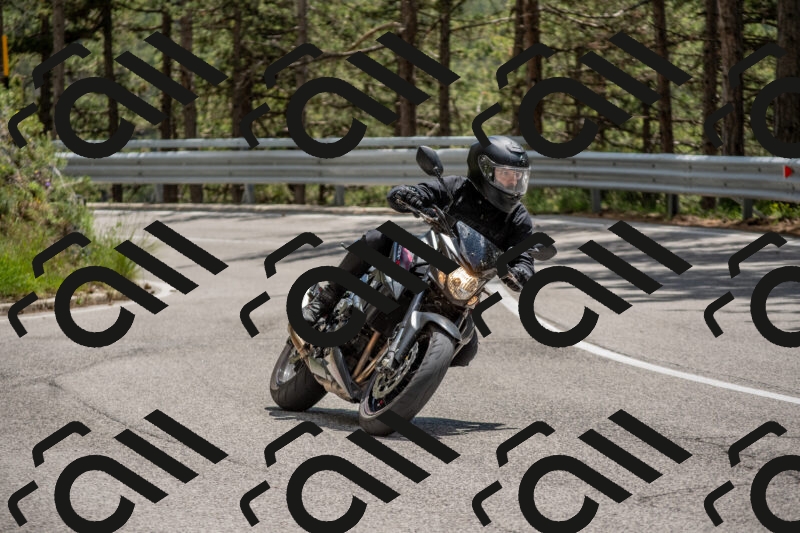 202506011336-DSC_5887_c4_