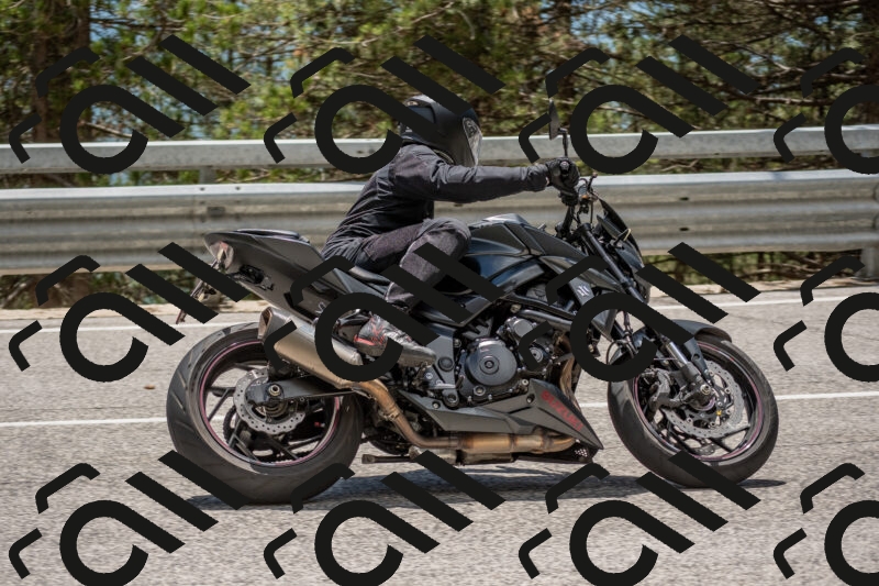 202506011336-DSC_5889_c4_