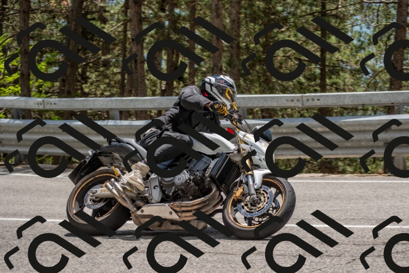 202506011337-DSC_5893_c4_