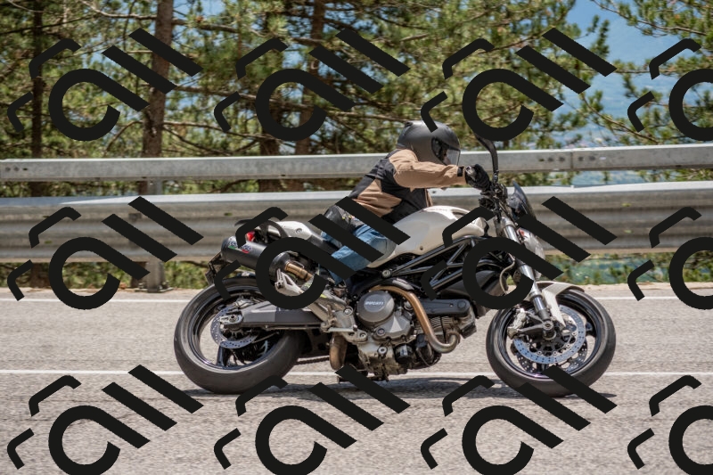 202506011337-DSC_5895_c4_