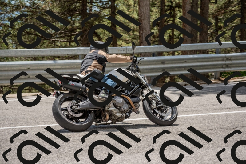 202506011337-DSC_5896_c4_