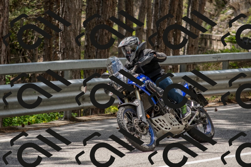 202506011337-DSC_5898_c4_