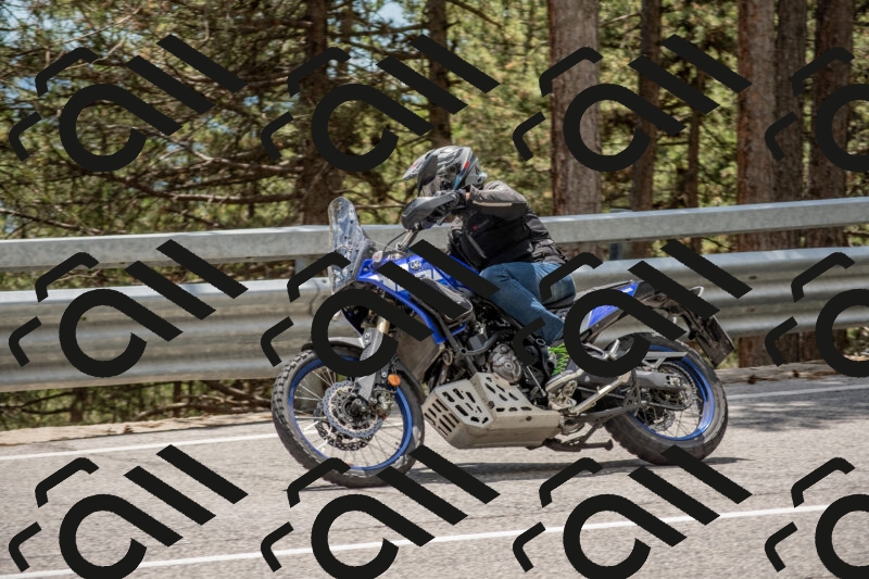 202506011337-DSC_5899_c4_