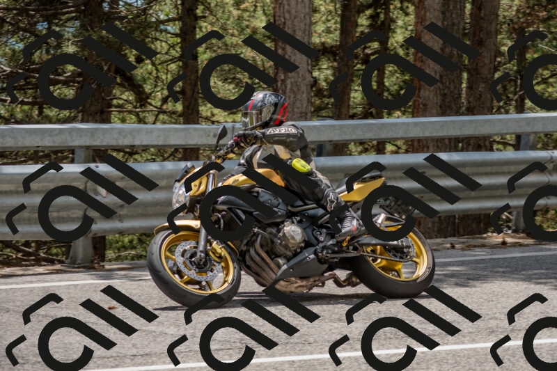 202506011337-DSC_5900_c4_