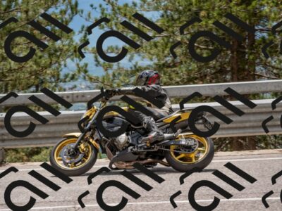 202506011337-DSC_5901_c4_