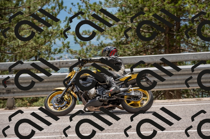 202506011337-DSC_5901_c4_