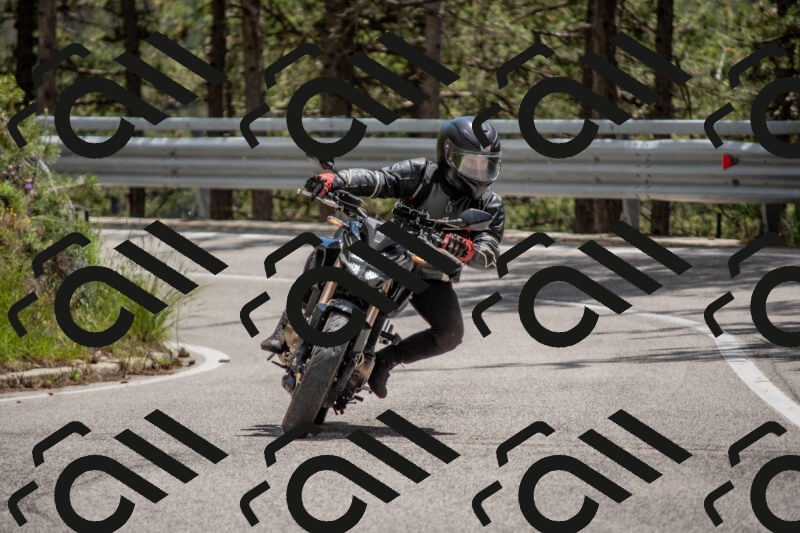 202506011339-DSC_5904_c4_