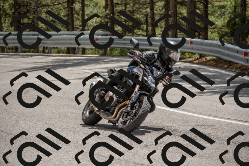 202506011340-DSC_5905_c4_