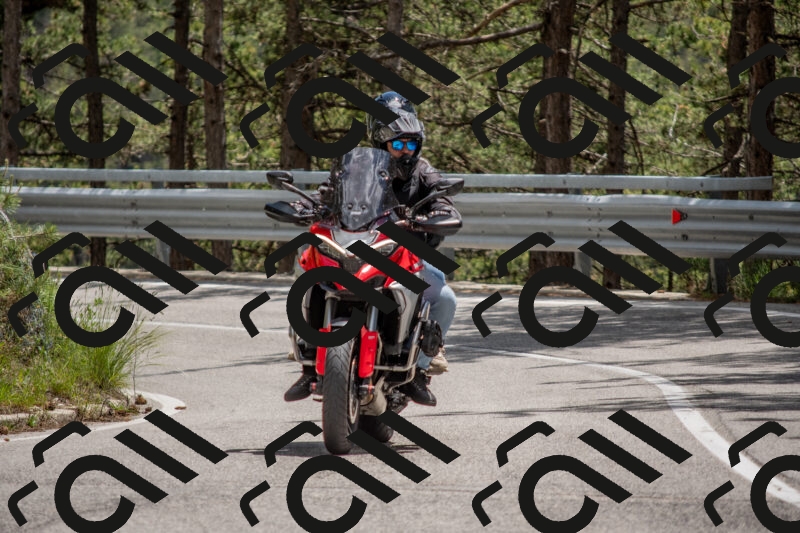 202506011340-DSC_5908_c4_