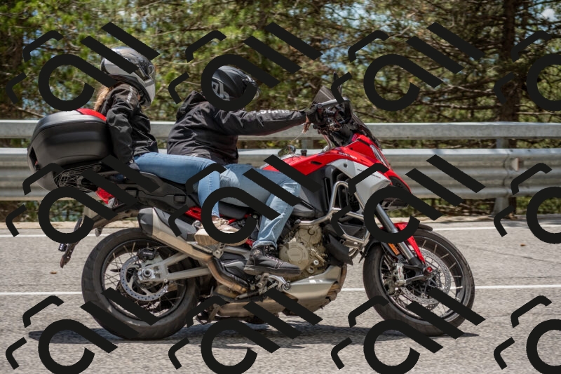 202506011340-DSC_5911_c4_