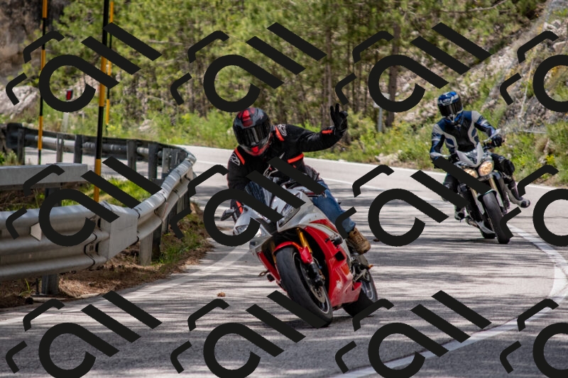 202506011340-DSC_5913_c4_