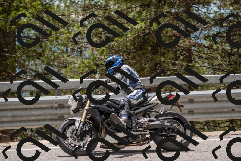 202506011340-DSC_5916_c4_