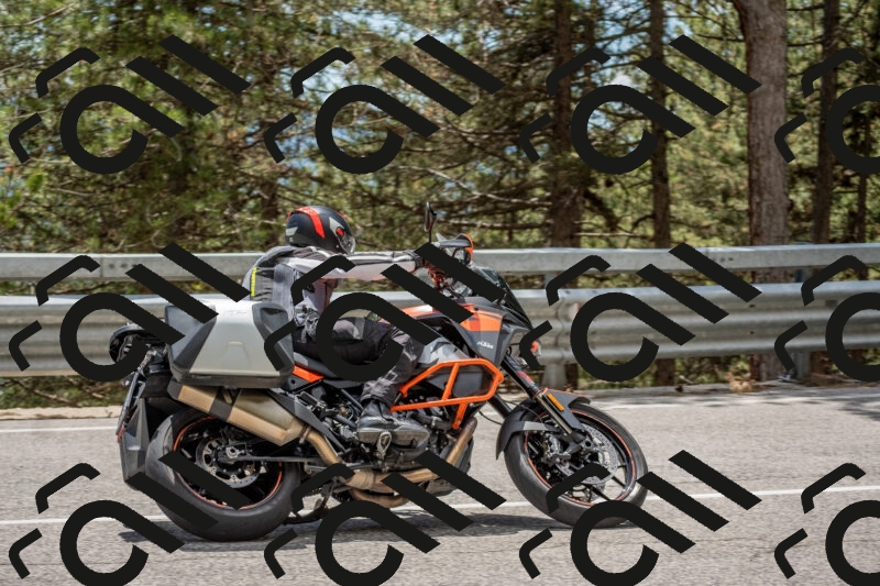 202506011341-DSC_5924_c4_