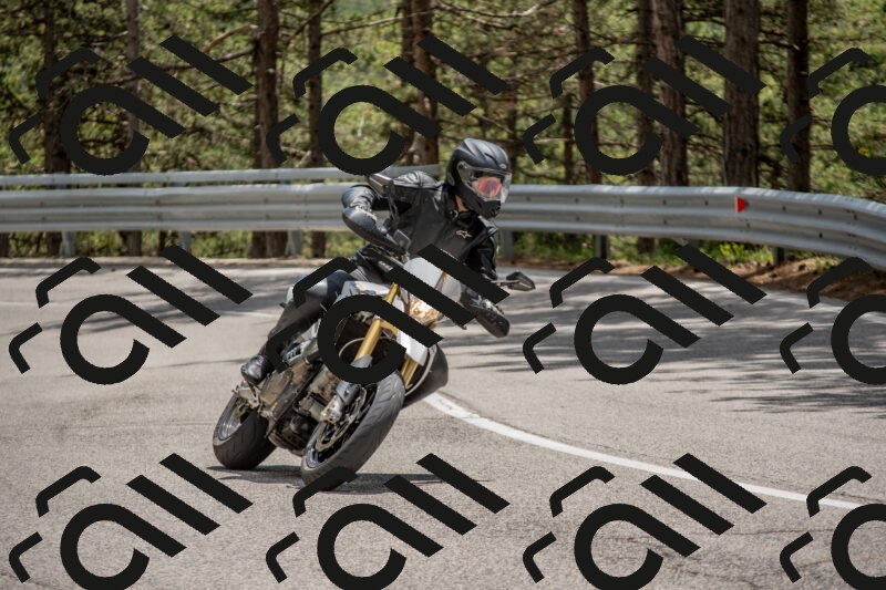 202506011341-DSC_5925_c4_