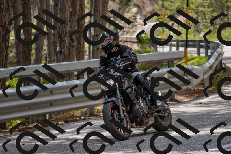 202506011341-DSC_5928_c4_