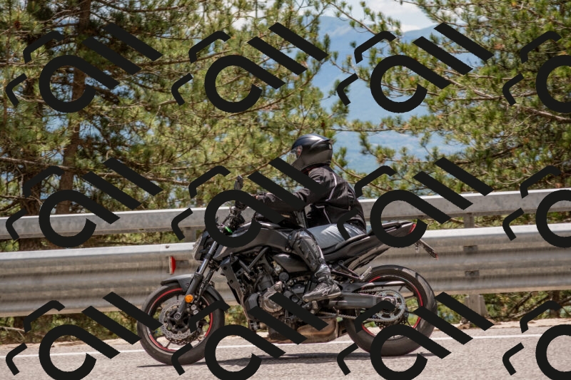 202506011341-DSC_5930_c4_