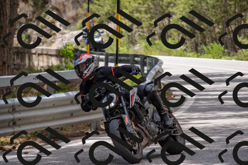 202506011342-DSC_5931_c4_