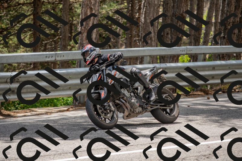 202506011342-DSC_5932_c4_