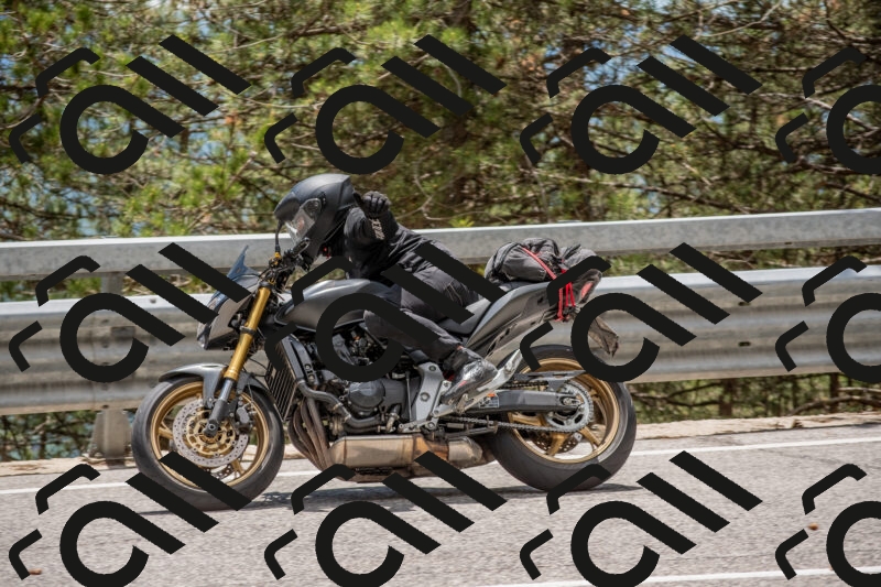 202506011342-DSC_5935_c4_