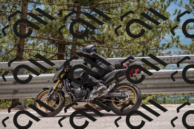 202506011342-DSC_5936_c4_