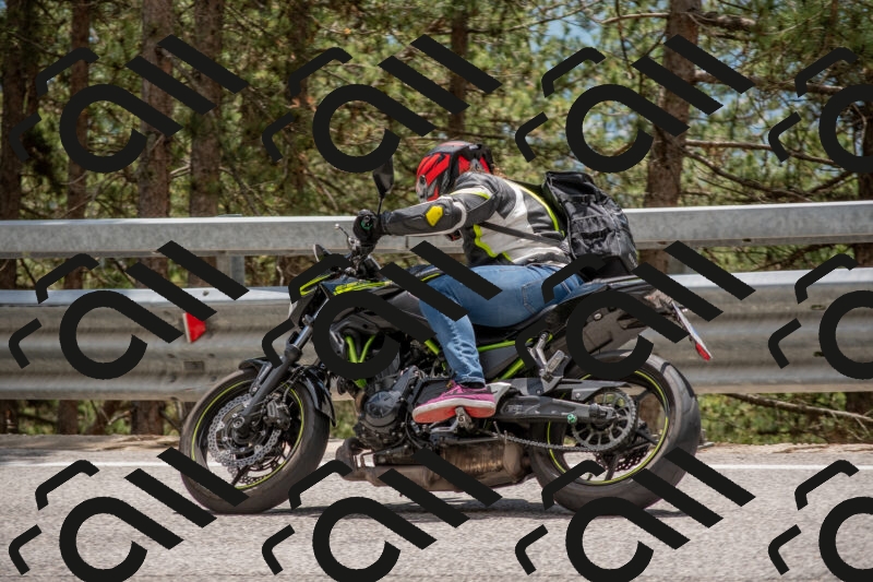 202506011342-DSC_5939_c4_