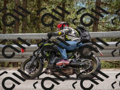 202506011342-DSC_5939_c4_