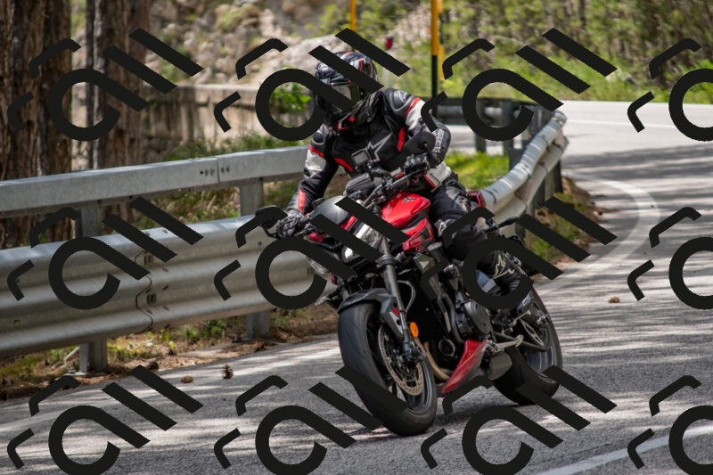 202506011343-DSC_5940_c4_