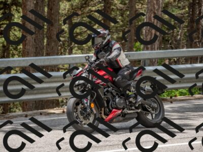 202506011343-DSC_5941_c4_