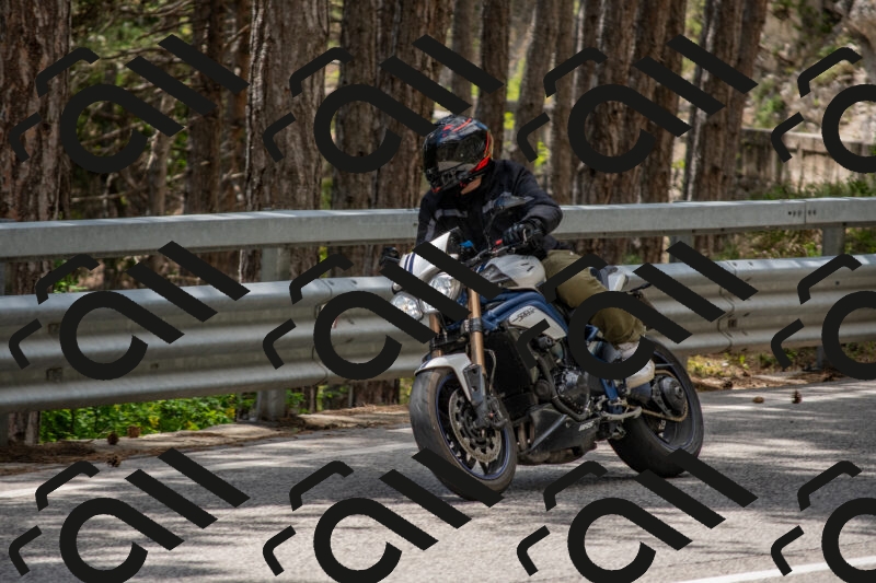 202506011344-DSC_5943_c4_