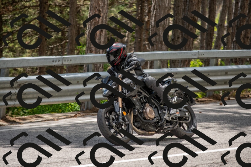 202506011344-DSC_5946_c4_