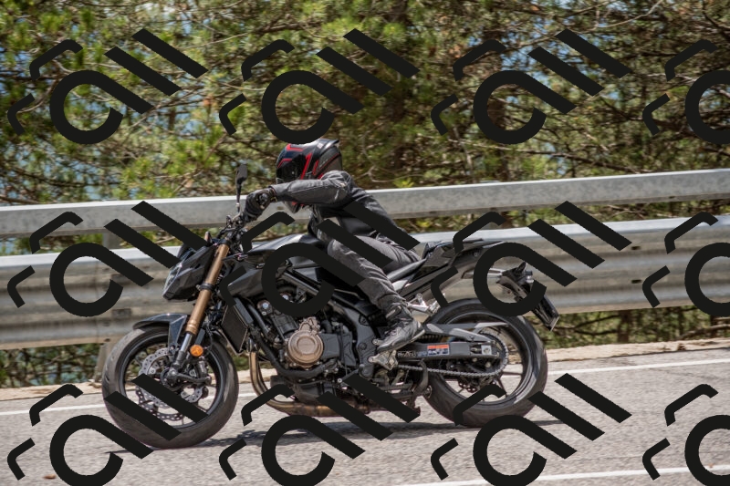 202506011344-DSC_5947_c4_