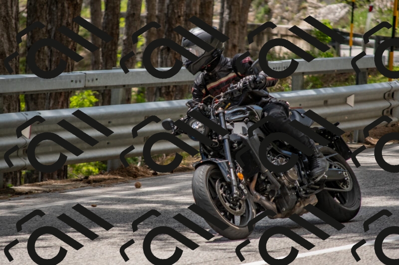 202506011344-DSC_5949_c4_