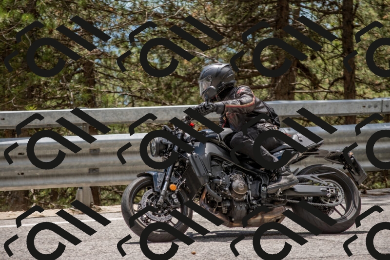 202506011344-DSC_5950_c4_