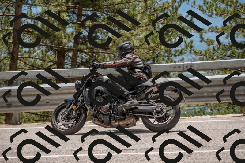 202506011344-DSC_5951_c4_