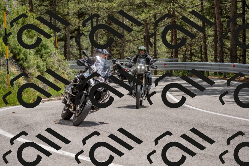 202506011344-DSC_5952_c4_