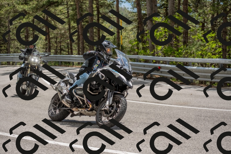 202506011344-DSC_5953_c4_