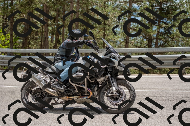 202506011344-DSC_5954_c4_