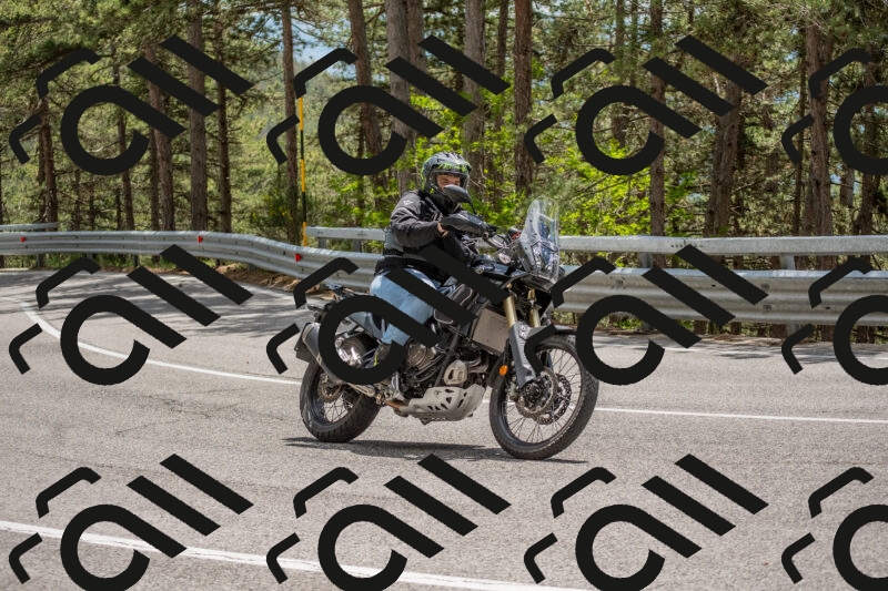 202506011344-DSC_5955_c4_