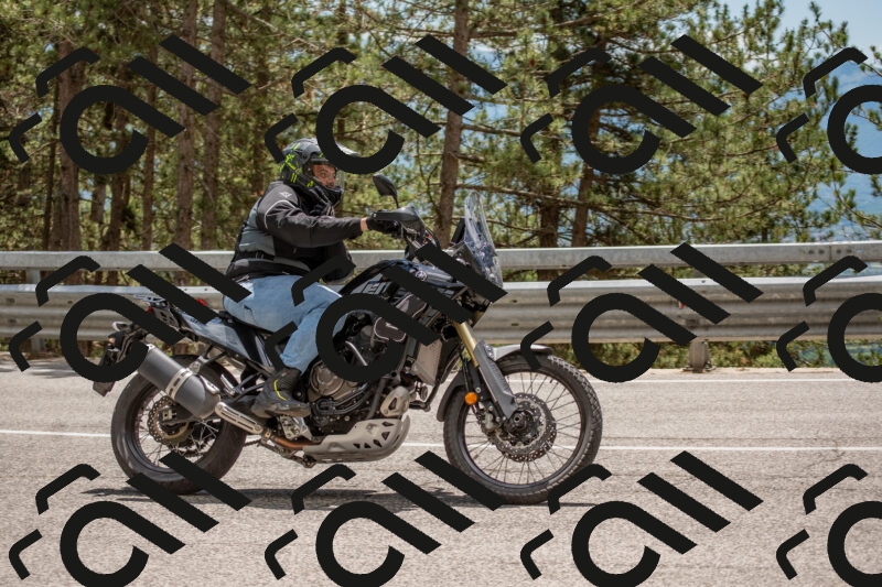 202506011344-DSC_5956_c4_