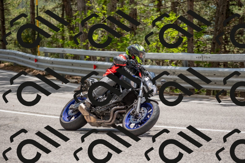 202506011344-DSC_5961_c4_