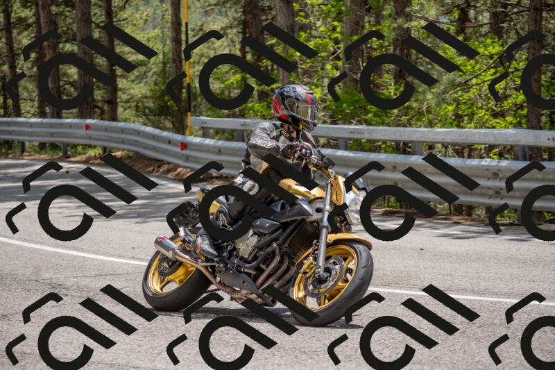 202506011344-DSC_5962_c4_