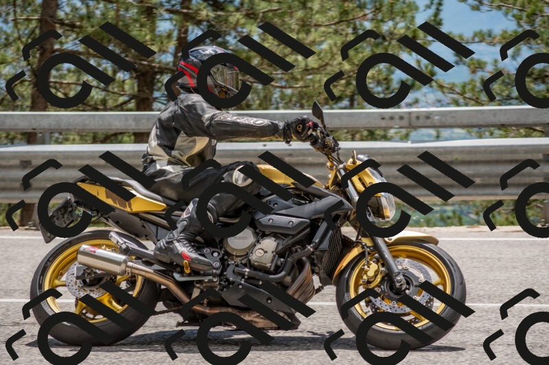 202506011344-DSC_5963_c4_