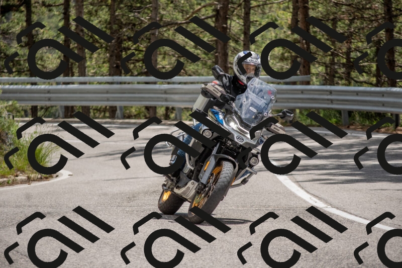 202506011344-DSC_5964_c4_