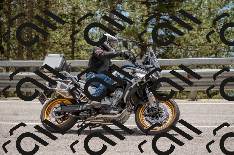 202506011344-DSC_5966_c4_