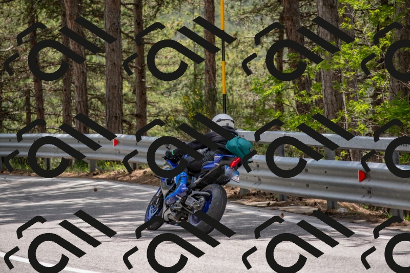 202506011345-DSC_5979_c4_