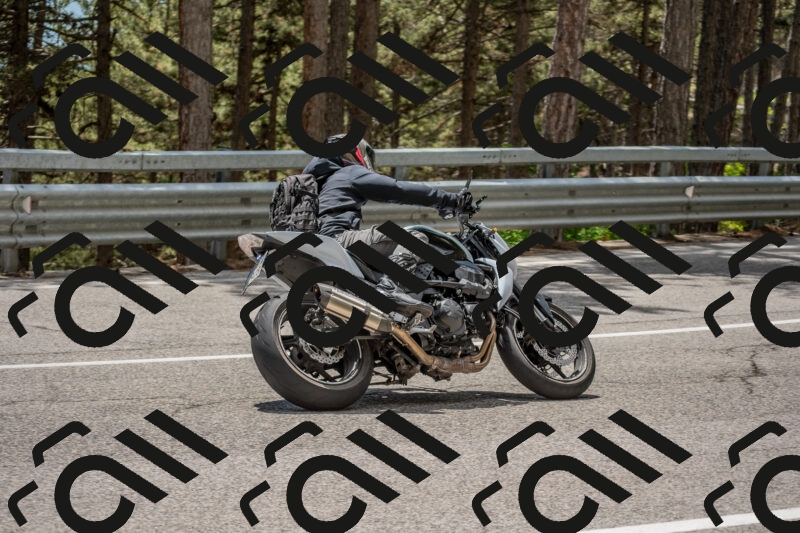 202506011346-DSC_5985_c4_