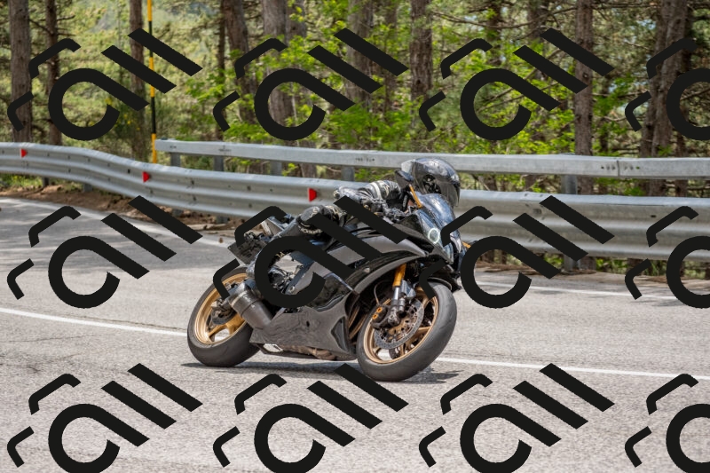 202506011348-DSC_5993_c4_