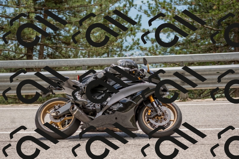 202506011348-DSC_5994_c4_